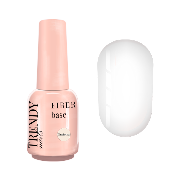 Fiber Base (mit Fiberglasfasern) EUSTOMA 15ml/30 ml (TPO/HEMA-free)