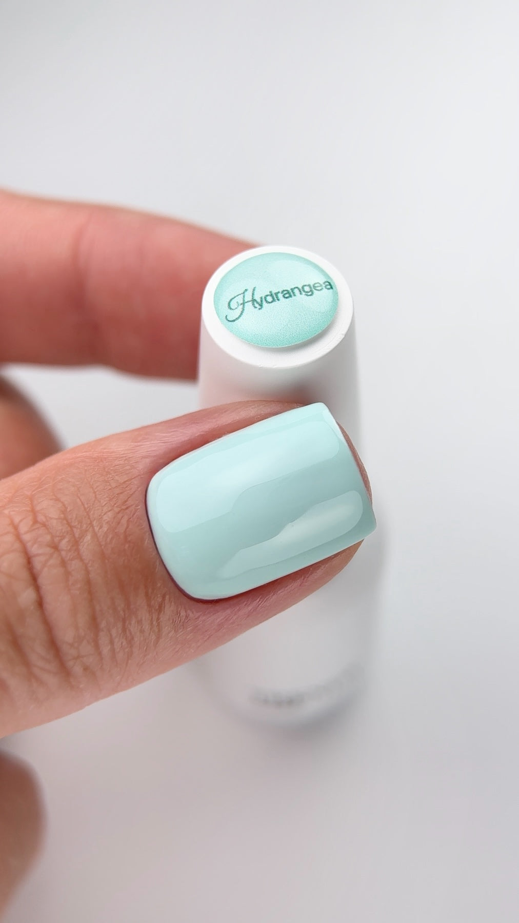 Gel Polish Hyndrangea 5ml/10ml von Trendy Nails (TPO/HEMA-free)
