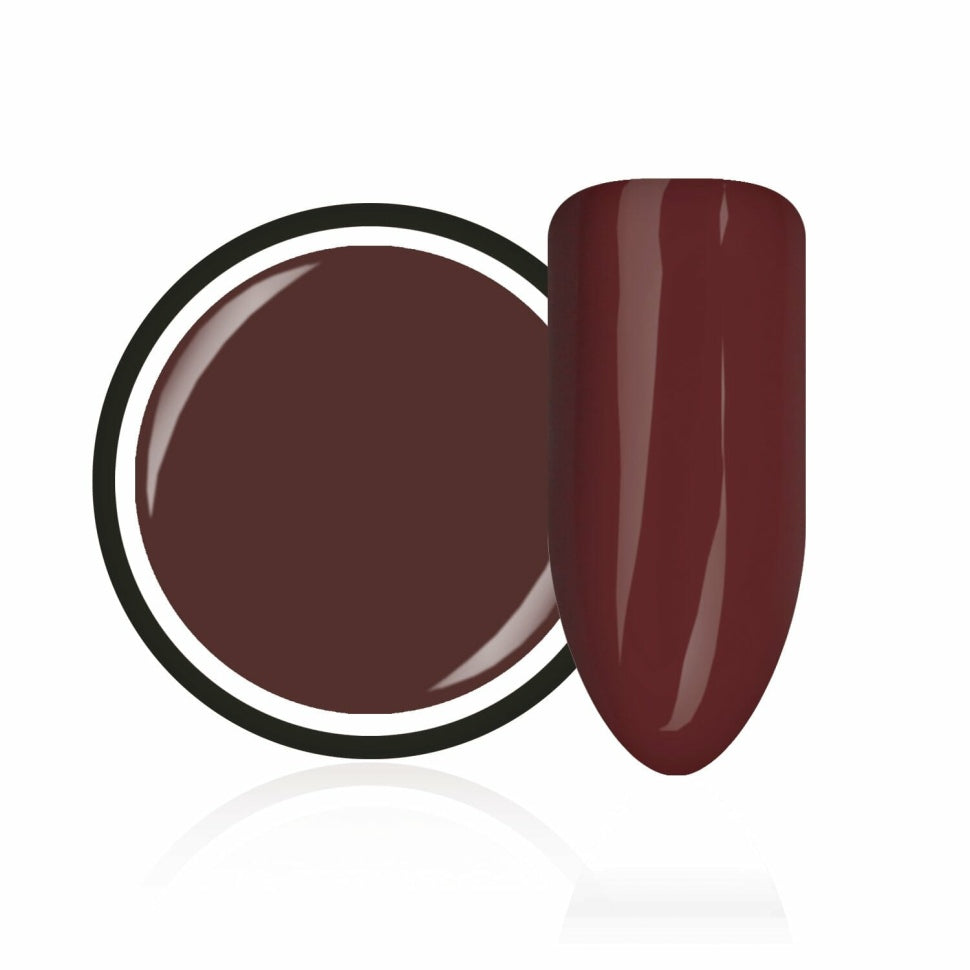 Gel color "Dark Mauve" di Trendnails 5ml