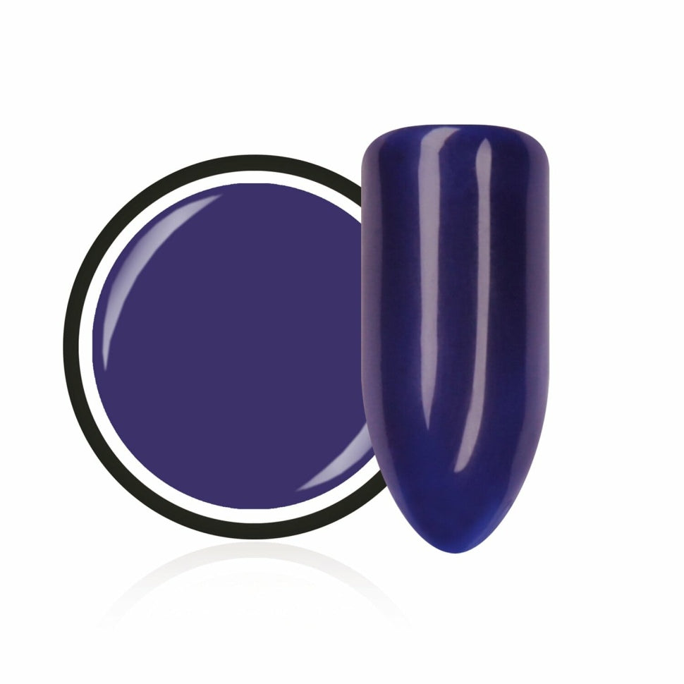 Gel color Classico "Prugna" di Trendnails 5ml