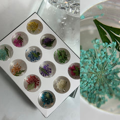 Set di Nailart fiori secchi