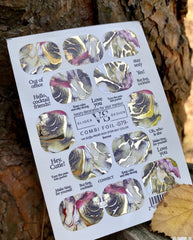 Slider mit Folie (Wasserlösliche Aufkleber) von VS Nails 79 COMBI FOIL