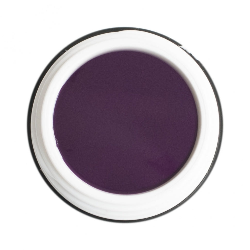 Color gel from Mr. Stilett 'Plum' 5ml