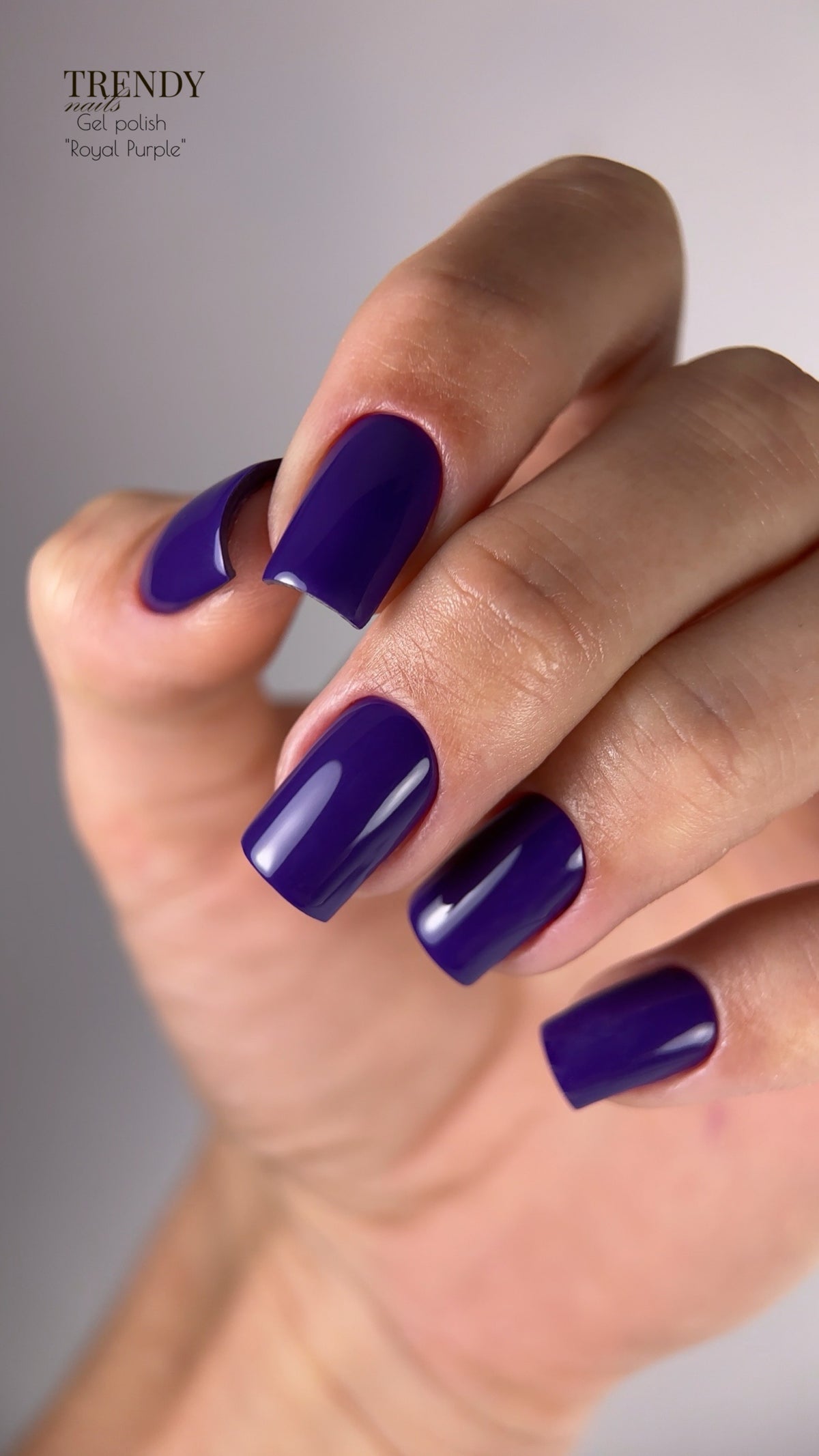 Gel Polish Royal Purple 5ml/10ml by Trendy Nails (TPO/HEMA-free)
