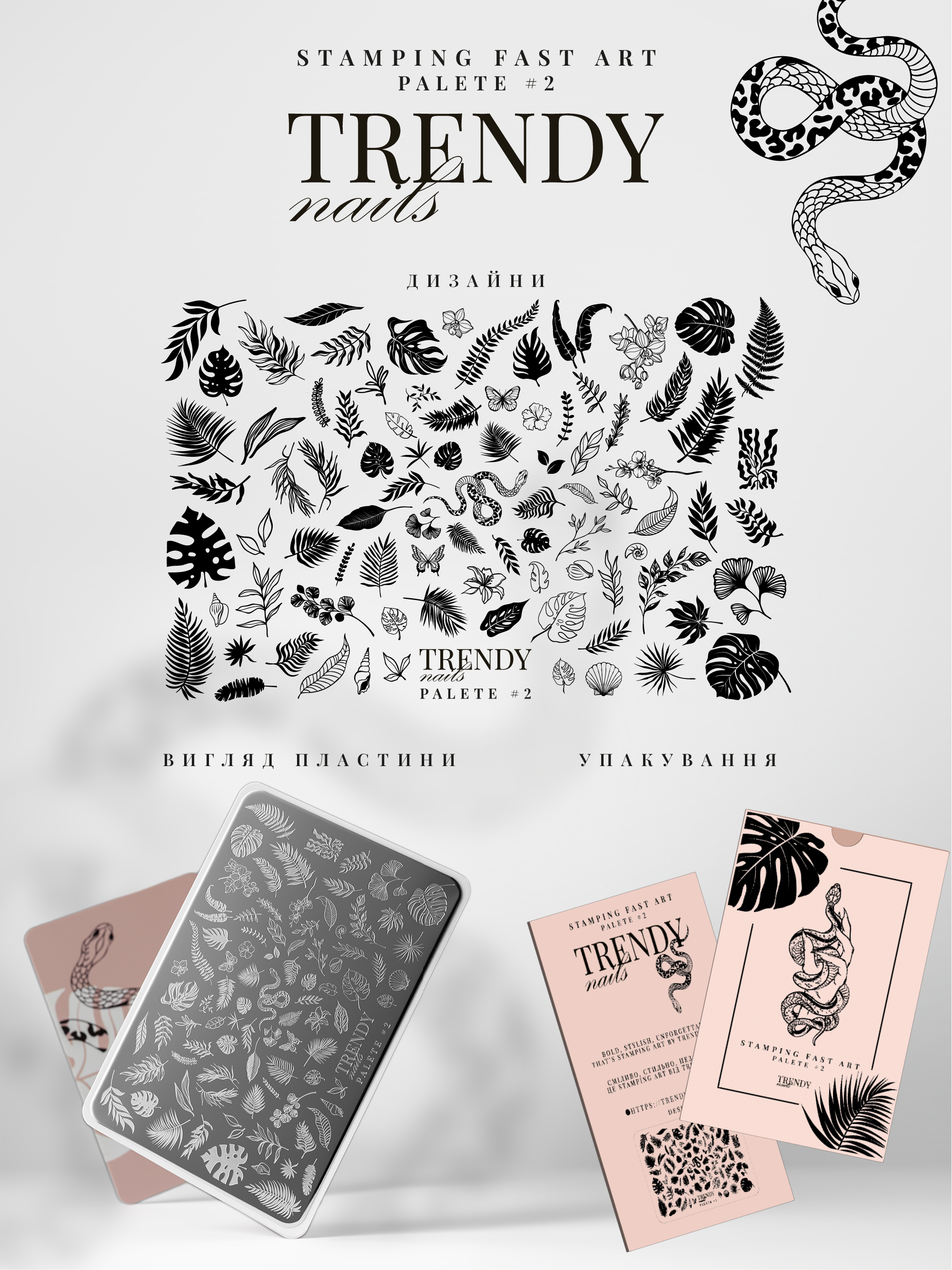 Stamping Platte Schablone Nr. 2 von Trendy Nails