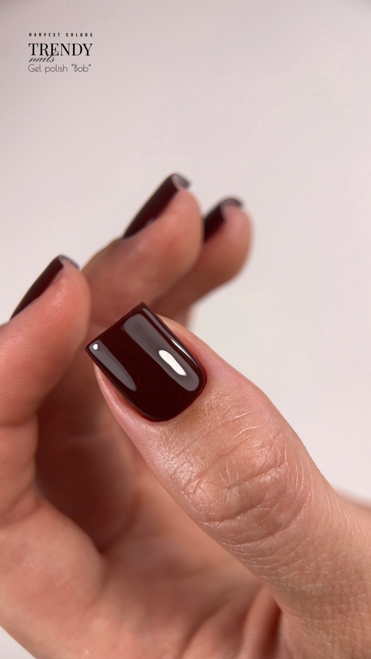 Gel Polish Bob 5ml/10ml by Trendy Nails (TPO/HEMA-free)